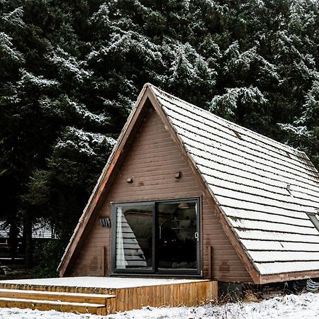 The Triangle Lodge Invergarry Εξωτερικό φωτογραφία