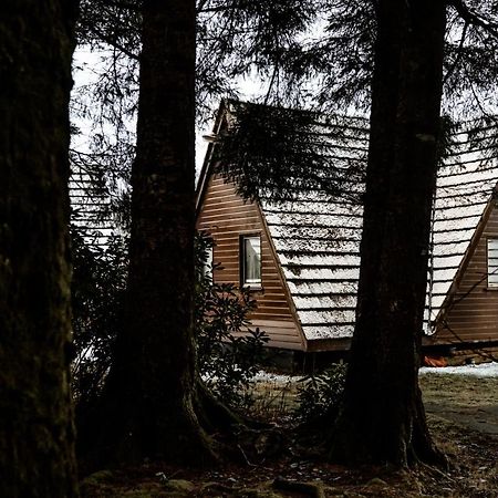 The Triangle Lodge Invergarry Εξωτερικό φωτογραφία
